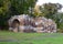 photo of view of Grotto in Autumn in the Park Neuer Garten, Potsdam, the Capital City of Brandenburg, Potsdam, Germany.