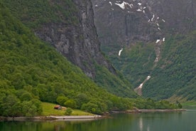 Frá Osló: Einkareisuhópurferð til Sognefjarðar um Flåm