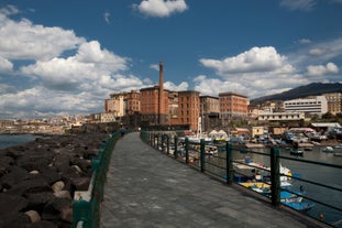 Naples, Italy. View of the Gulf of Naples from the Posillipo hill with Mount Vesuvius far in the background and some pine trees in foreground.