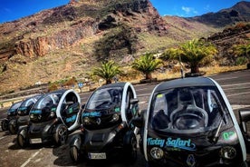 4 tíma Eco Twizy Safari ferð á Tenerife