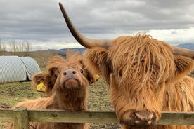 Tour privado de las Tierras Altas de Escocia desde Edimburgo