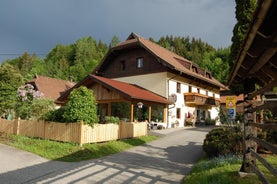 Gasthof-Pension-Fewo Martinihof