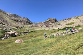 Senderismo en el parque nacional de Sierra Nevada con recogida en hotel desde Granada 