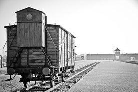 Auschwitz - excursão de dia inteiro de Varsóvia em carro particular