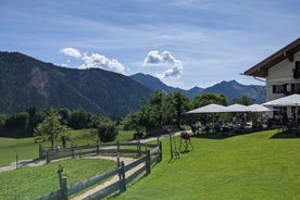 Light Hiking Tour in the Bavarian Alps from Munich