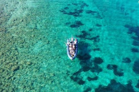 SPEED BOAT TOUR TO KRKA