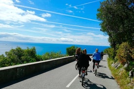 Französische Riviera Landschaften E-Bike-Tour von Nizza aus