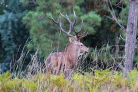 ロウザン山脈で自然を発見