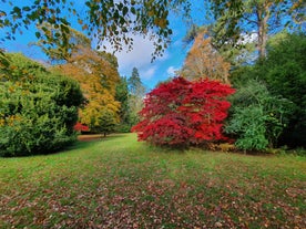 Westonbirt Arboretum