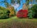 Photo of beautiful view of Westonbirt the National Arboretum, UK.