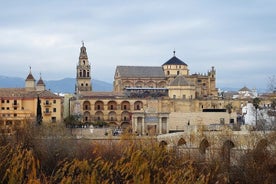 Half Day Tour to Mosque-Cathedral of Cordoba and Jewish Quarter