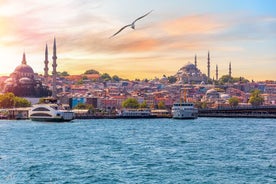 Private Shore Excursion: Jewels of Istanbul Tour with a Boat Ride