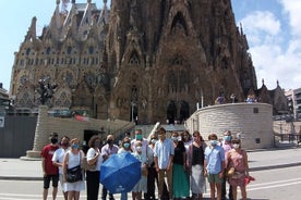 사그라다 파밀리아(Sagrada Familia) 영어 가이드 투어 및 선택적 타워 입장