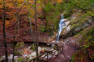 Abruzzo, Lazio and Molise National Park