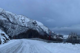 Narvik/Harstad: Dagsferð um Fjörðina með Stopp á Hreindýrabúgarði