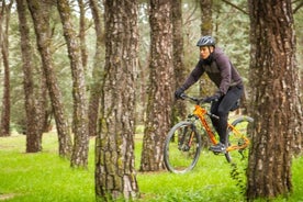 ALQUILER de bicicleta de montaña un día (24 horas) todos los extras incluidos.