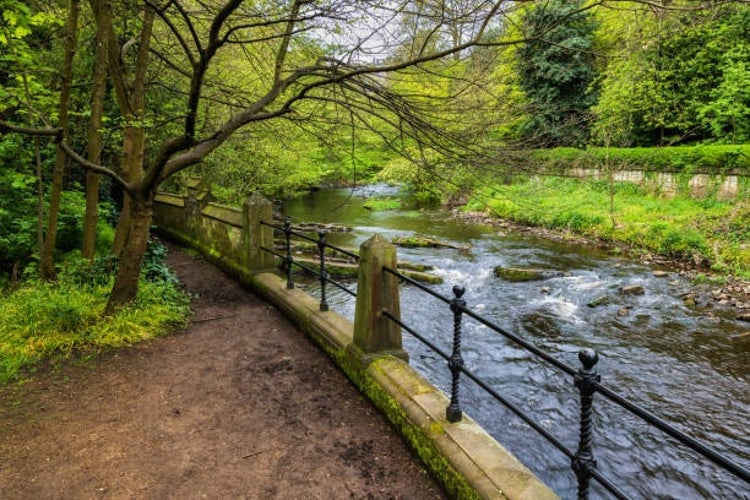 19  Water of Leith.jpg