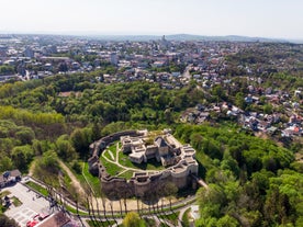 Vatra Dornei - city in Romania