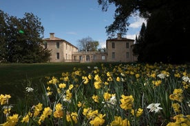 1-tägige private Weintour im Kellerrundgang von ST-Émilion