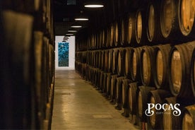 Visite guidée de Poças et dégustation de 2 vins DOC Douro et 1 vin de Porto