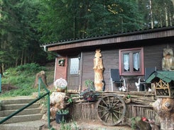 Waldnest Odenwald - Waldhauszimmer