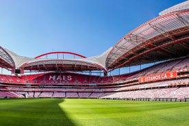 Visita al estadio de Benfica y entrada al museo