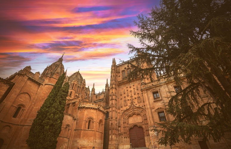 photo of view of Old Cathedral of Santa Maria de la Sede of Salamanca, Spain.