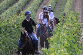 Passeio a cavalo com vinho saindo de Florença