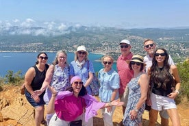 Excursion d'une journée en Provence avec promenade en bateau dans le village de Cassis et dégustation de vins locaux au départ d'Aix