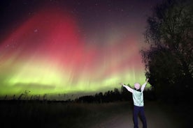 Rovaniemi: Aurora Hunting Tour with Photography by Van