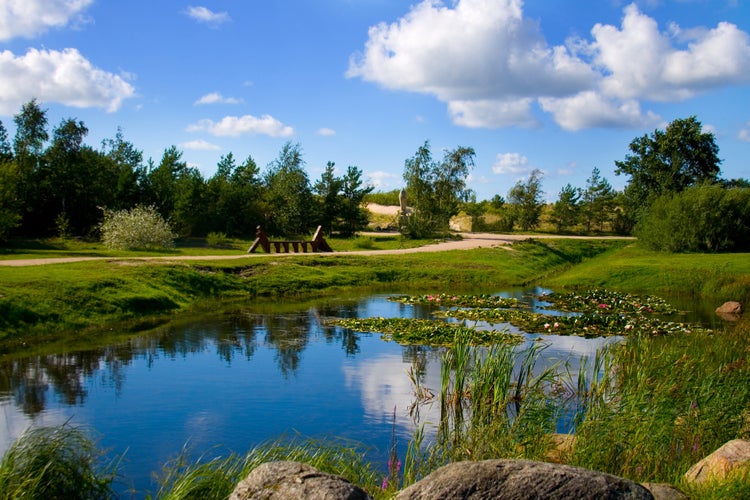 Photo of beautiful nature park on a summer day in city of Ventspils, Latvia. This is a clean and green park with a small lake inside of it. Clouds, sun and silence it-s a good atmosphere for relaxation.