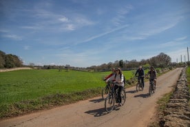 Passeio de bicicleta elétrica entre Locorotondo e Martina Franca