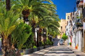 Escapada de un día a la costa y cuevas desde Benidorm o Albir