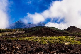 Heils dags möndlublómaleið á Tenerife