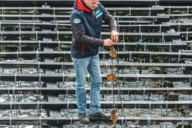 Rías Baixas privat tur med vinsmaking, mat, blåskjellbåt og henting