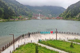 Trabzon: Uzungöl Group Tour, Explore The Nature & Taste Tea