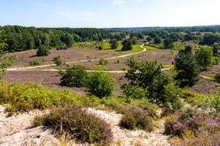 Brunssummerheide