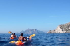 Escursioni Chasing Syrens in Kayak trasparenti