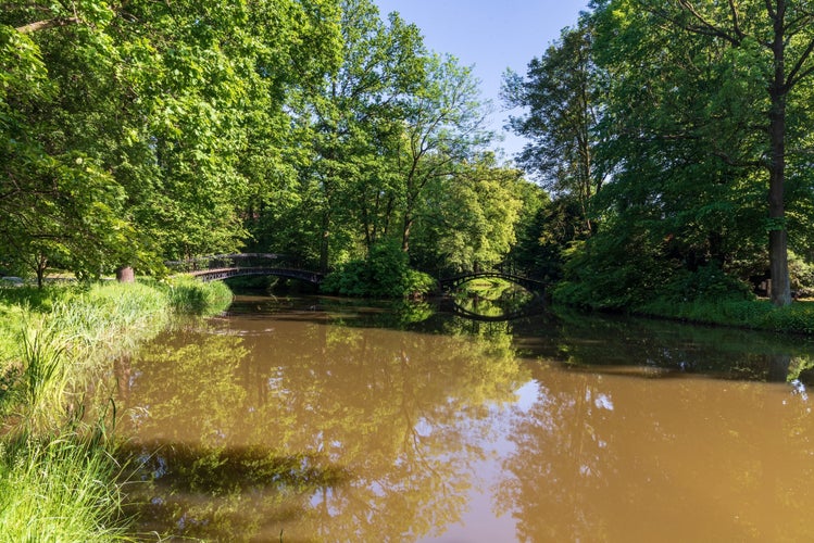 Park Zamkowy public park in Pszczyna town in Poland with creek, bridges and trees during beautiful sptingtime day