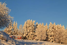 Maatilamatkailu Janisvaara