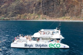 Avistamiento de delfines y ballenas en Madeira desde un lujoso catamarán