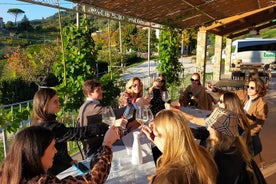 Wine tour privato intorno a Lucca con sommelier (2 cantine)