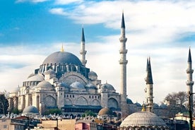 Tour por la ciudad vieja de Estambul y el Bósforo