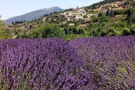 Lavanda en Sault viaje de medio día en grupos pequeños