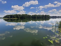 Siedlisko pod świerkami-Twój własny kawałek raju