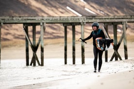 Gita privata di wakeboard o sci nautico nei fiordi occidentali