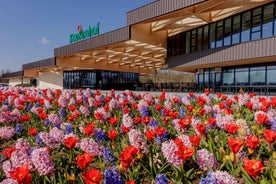 Amsterdam: Half-Day Flower Fields and Keukenhof Bicycle Tour