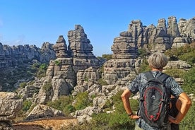 Visite guidée privée à Torcal de Antequera