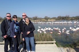 Vaaleanpunaiset flamingot ja Camarguen luonto