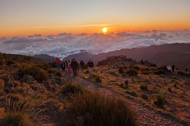 Sunrise Tour à Pico do Arieiro avec café / thé et petit-déjeuner inclus